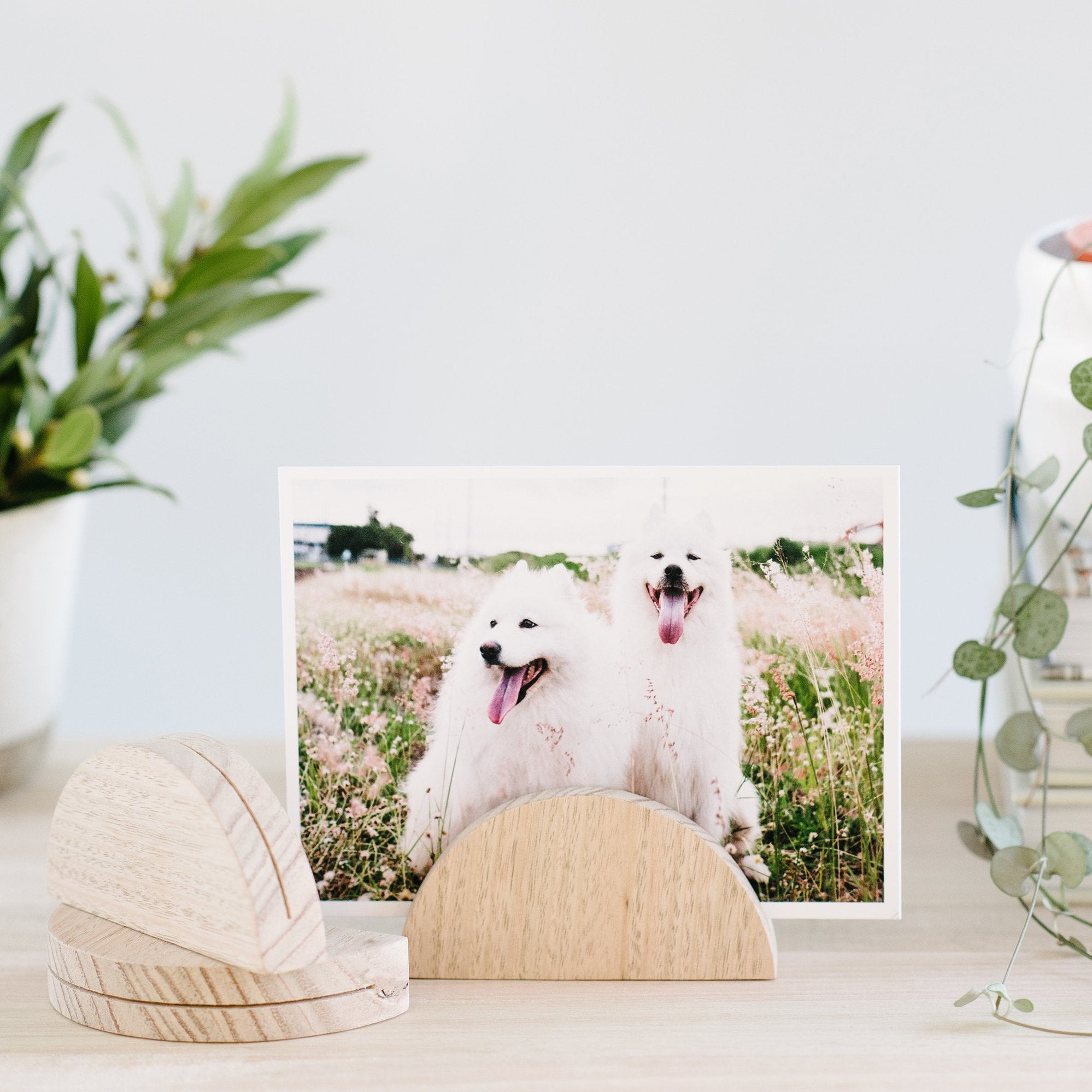 Timber Photo Stands – In The Daylight
