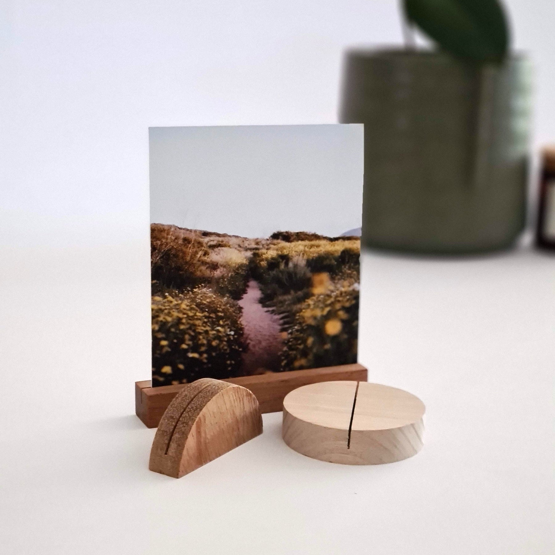 Timber Photo Stands – In The Daylight